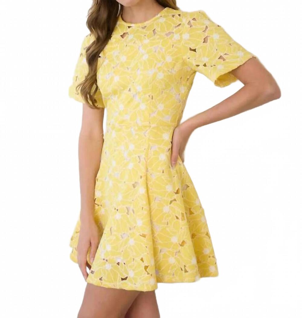 NEW ZOE AND CLAIRE women's sunshine short lace dress in yellow